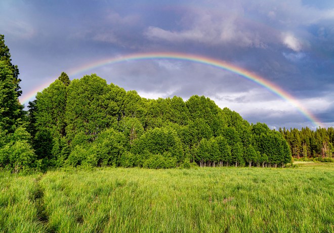 It's Time for a Rainbow Scavenger Hunt!