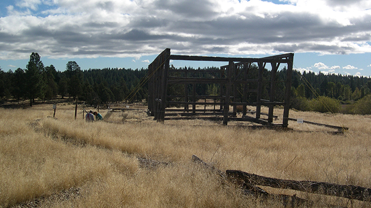 The Hindman barn in 2003 surrounded by non-native weeds. Photo: Land Trust.