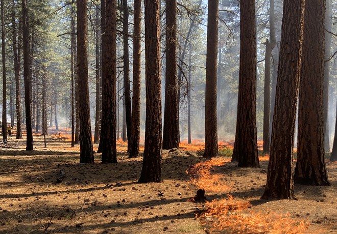 Prescribed Burn Training Attended by Land Trust Staff