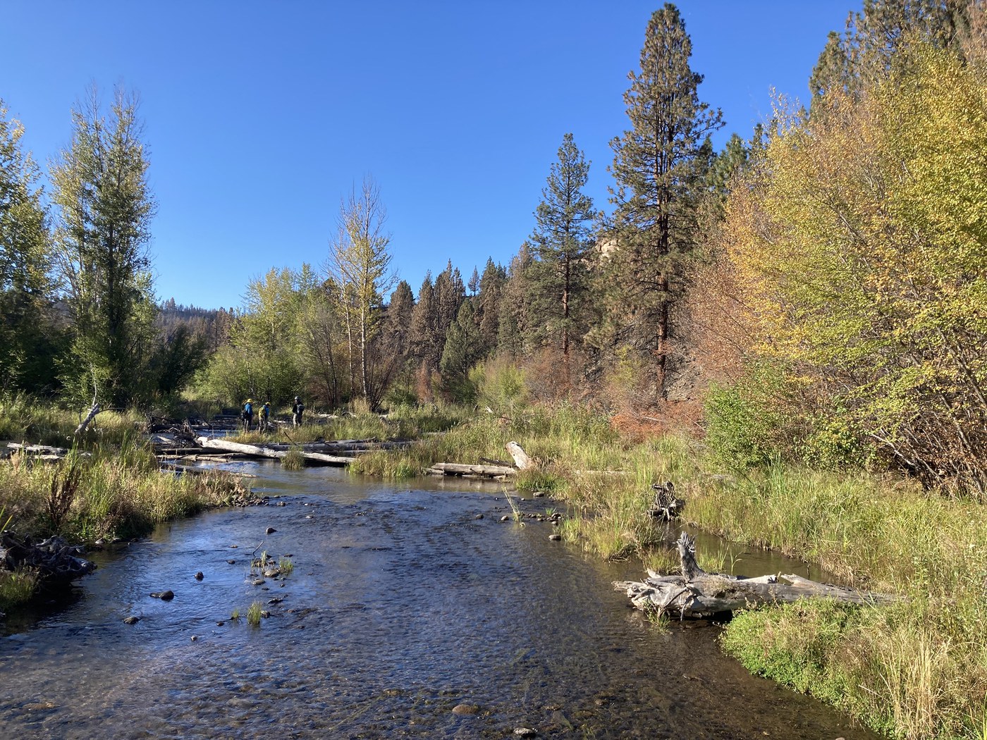 Assessing the Flat Fire impacts on the stream restoration project at Rimrock Ranch. Photo: Land Trust.