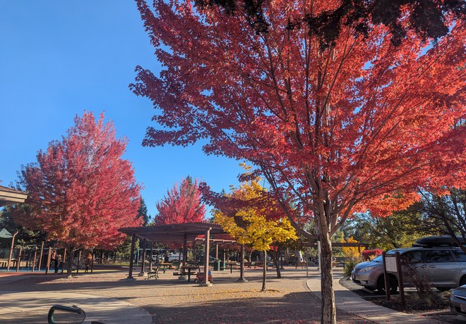 Leaf-ing Time for Creative Crafts