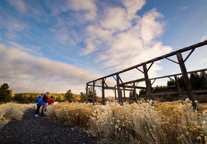 Fall Wandering at Camp Polk Meadow Preserve