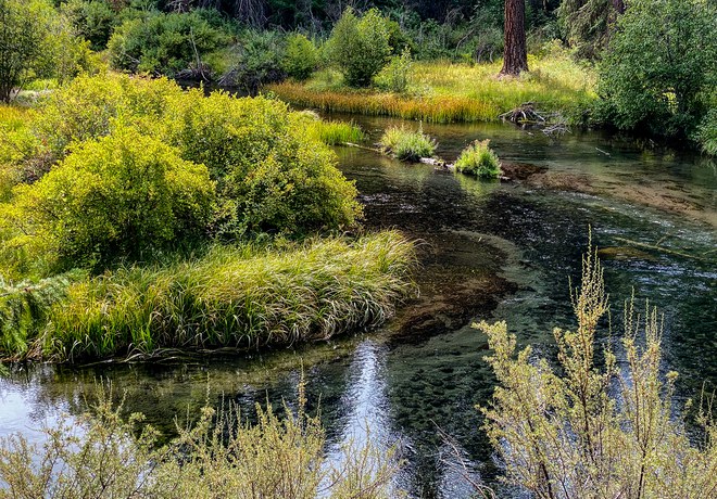 An Early Fall Hike Along the Metolius River