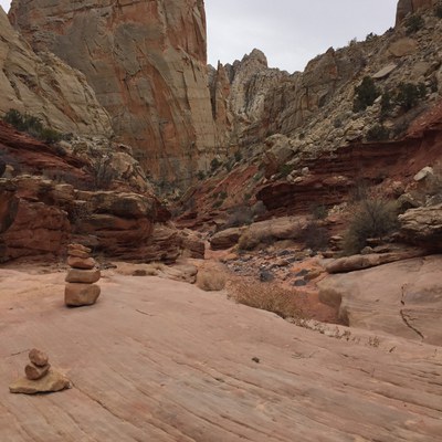 Photo: Jana Hemphill.