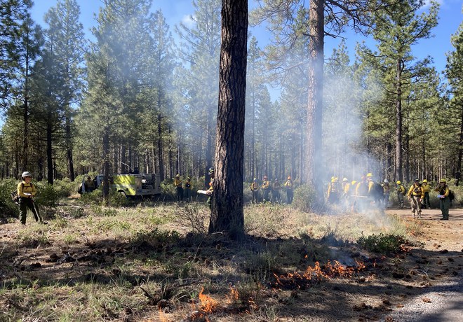 Prescribed Burn Update for Metolius Preserve