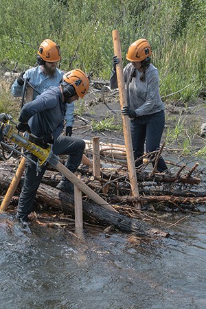 Building restoration structures at Willow Springs Preserve. Photo: Rick Dingus.