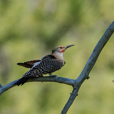 Photo: Whitney Whitehouse.