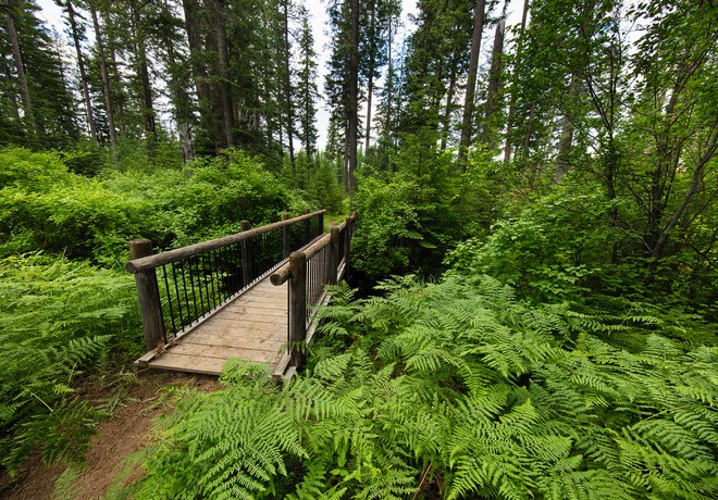 Green Spaces Are Cool!