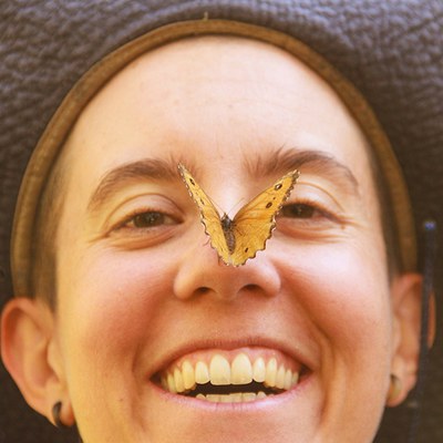 Great Arctic butterfly. Photo: Sue Anderson.