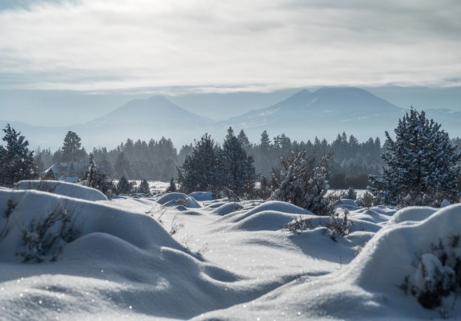 This Year's Season of Giving