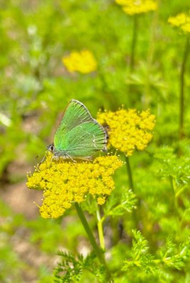 Photo: Lucy Egertson.