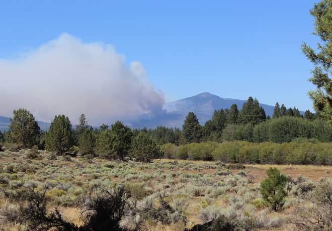 Smoky Bear Was Right—Wildfire Prevention is a Job For All of Us