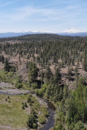 Willow Springs Preserve. Photo: Land Trust.