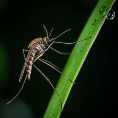 Photo: Egor Kamelev.